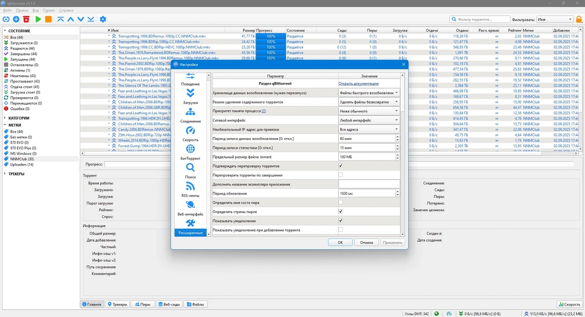 Торрент клиент qBittorrent 5.1.3 — изображение 2