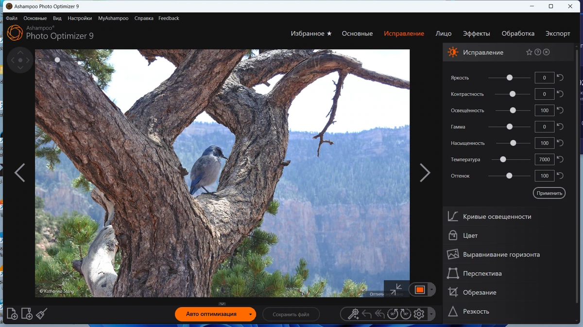 Улучшение фотоснимков - Ashampoo Photo Optimizer 9.4.7.36 by TryRooM — изображение 2