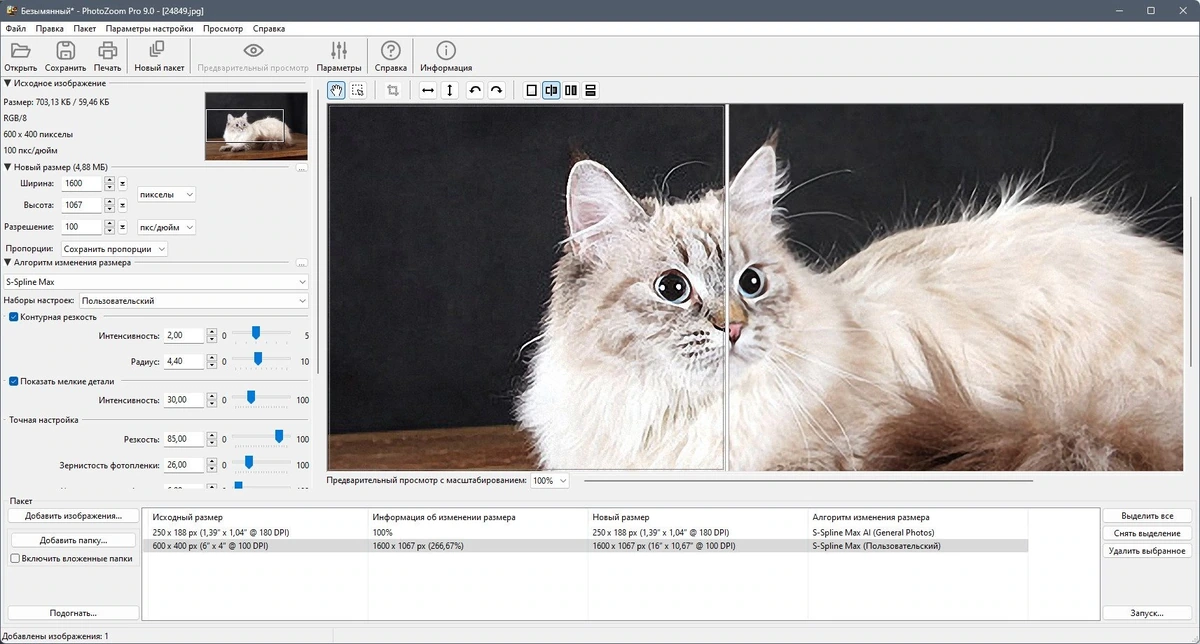 Benvista PhotoZoom Pro 9.0.0 Полная + Портативная версии by Dodakaedr — изображение 2