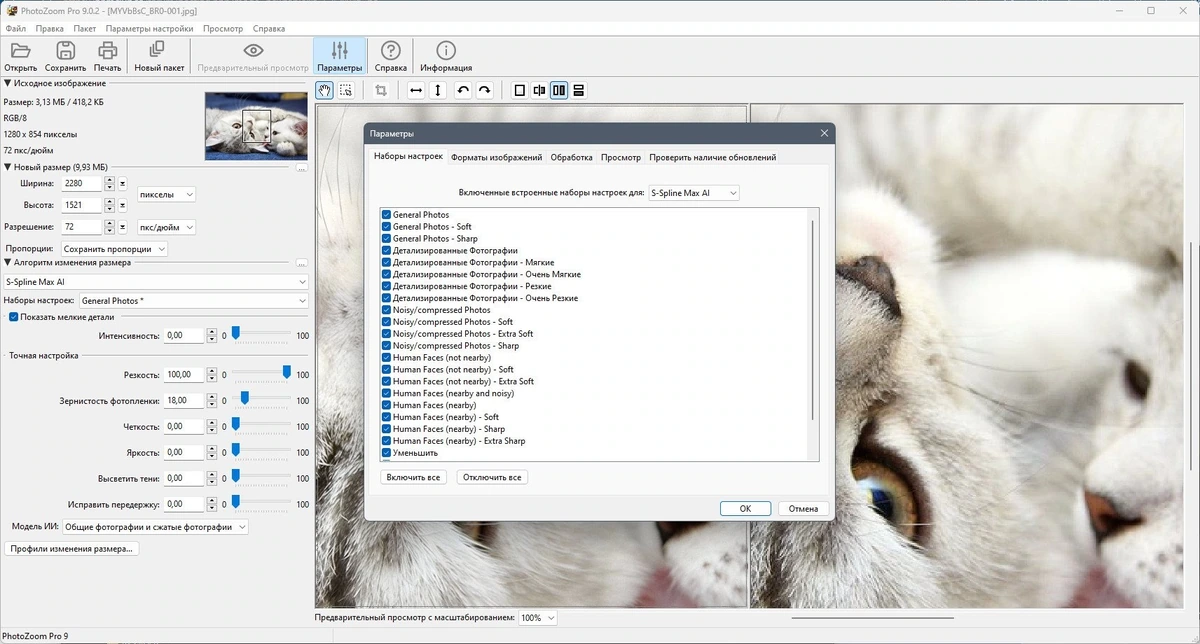 Benvista PhotoZoom Pro 9.0.2 Полная + Портативная версии by Dodakaedr — изображение 2