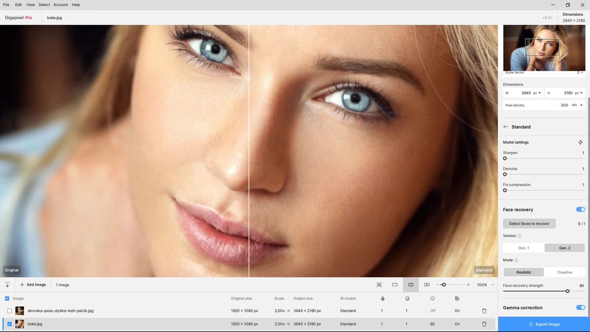 Увеличение снимков без размытия Topaz Gigapixel AI Pro 8.3.1 RC — изображение 2