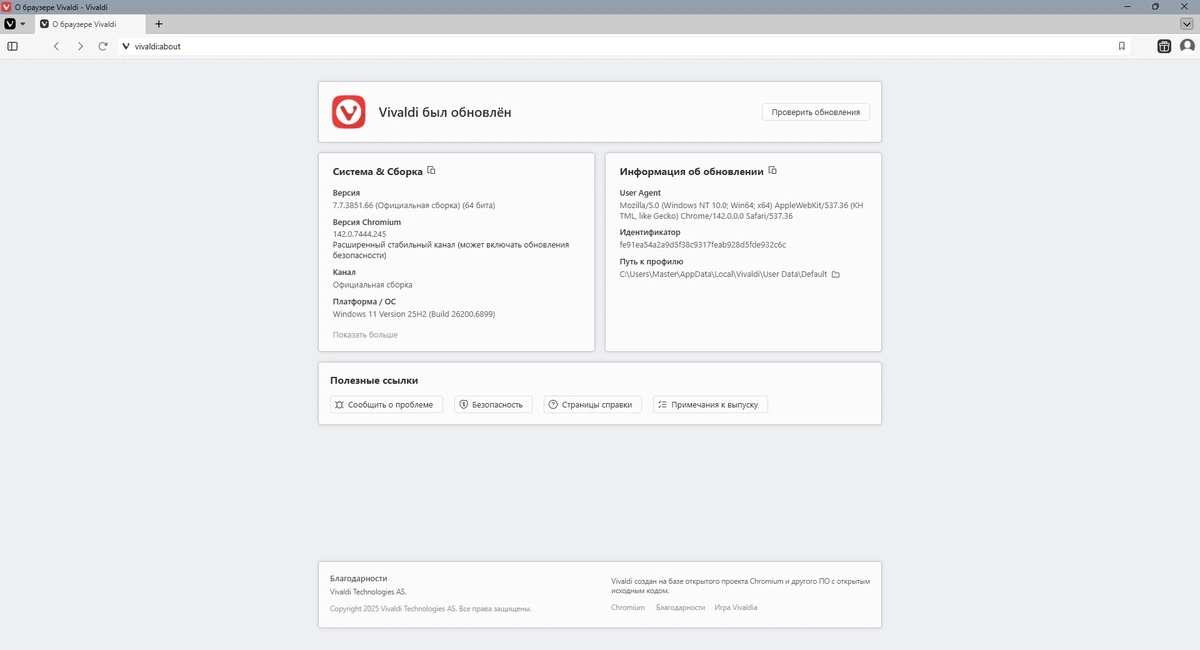 Веб браузер Vivaldi 7.7.3851.66 include standalone — изображение 2