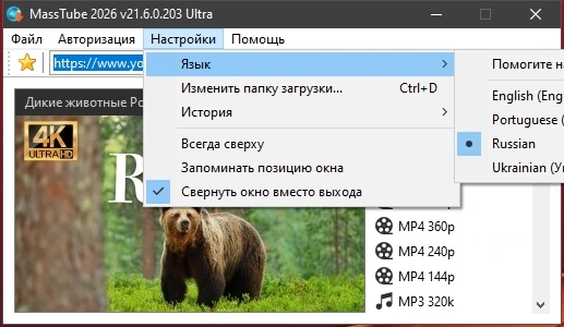 Видеозагрузчик MassTube Ultra 21.6.0.203 by Dodakaedr — изображение 2