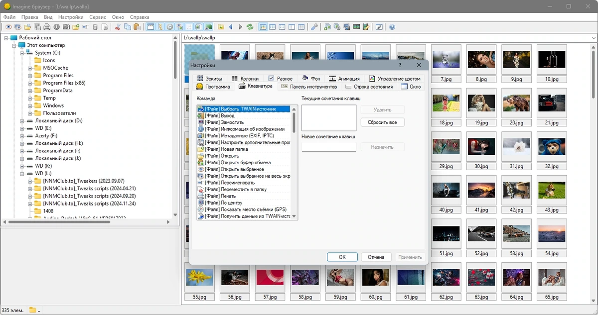 Бесплатный вьювер Imagine 2.4.1 + Portable — изображение 2
