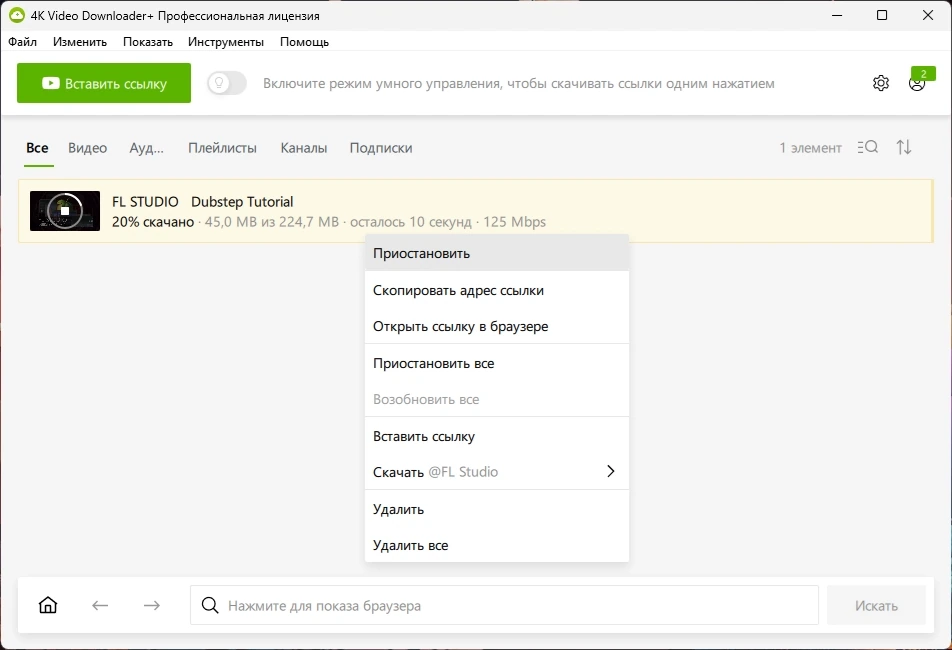 4K Video Downloader+ загрузчик плейлистов и каналов 25.0.0.182 by Dodakaedr — изображение 2