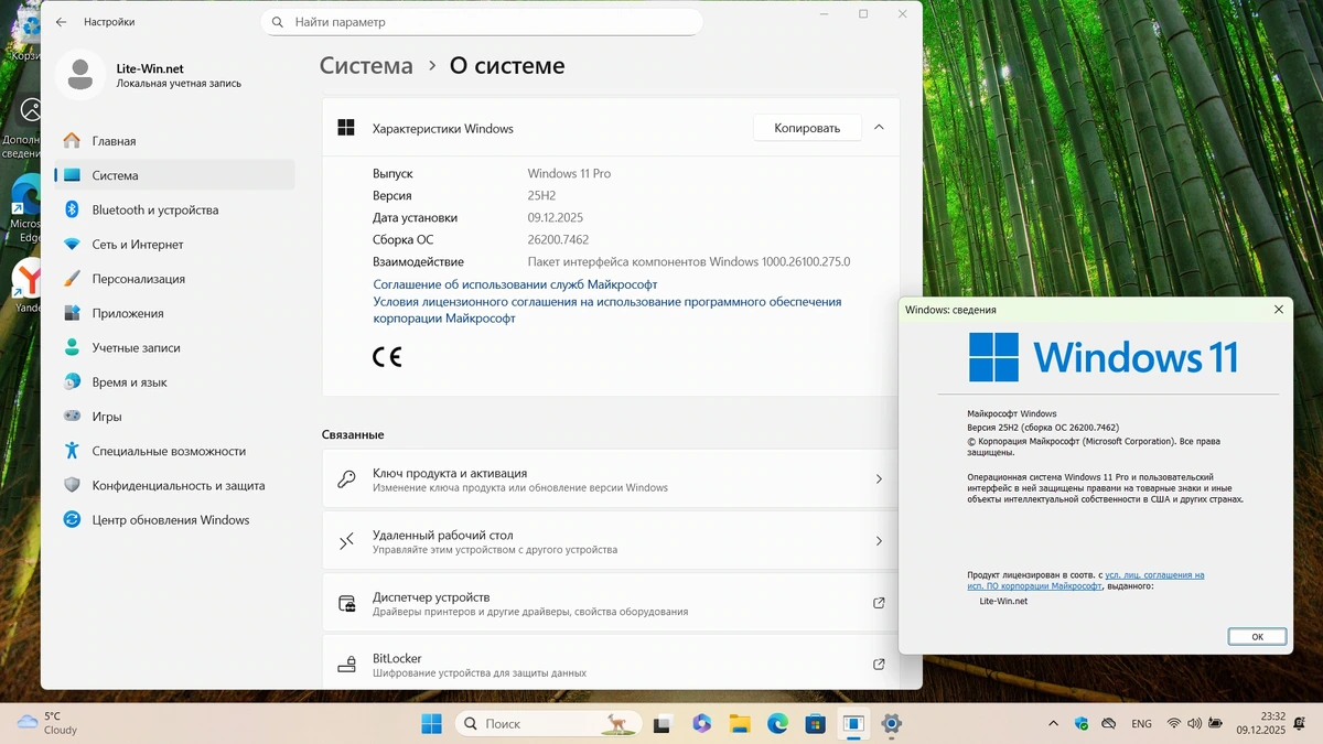 Windows 11 Pro 25H2 Build 26200.7462 Full Декабрь 2025 — изображение 2