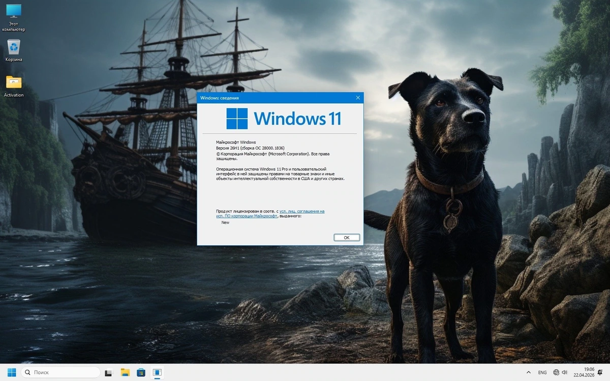Windows 11 Pro 26H1 [Flibustier-лаунчер] 28000.1836 by Revision — изображение 2