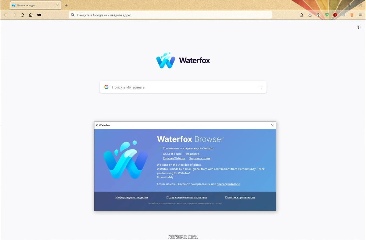 Браузер для Windows Waterfox Current G5.1.8 — изображение 2