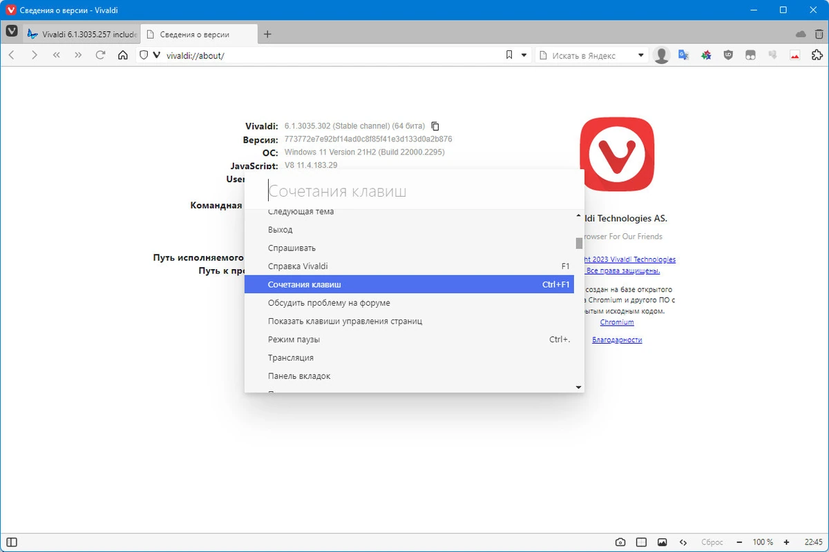 Браузер с быстрыми командами - Vivaldi 6.1.3035.302 include standalone — изображение 2