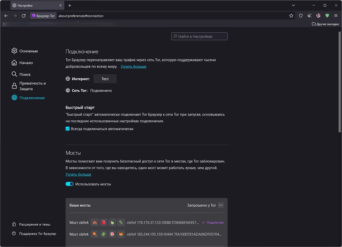 Браузер с шифрованием трафика Tor Browser Bundle 13.5.7 — изображение 2