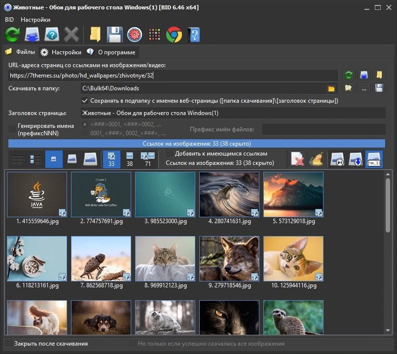 Bulk Image Downloader 6.46.0.0 Полная + Портативная версии by Dodakaedr — изображение 2