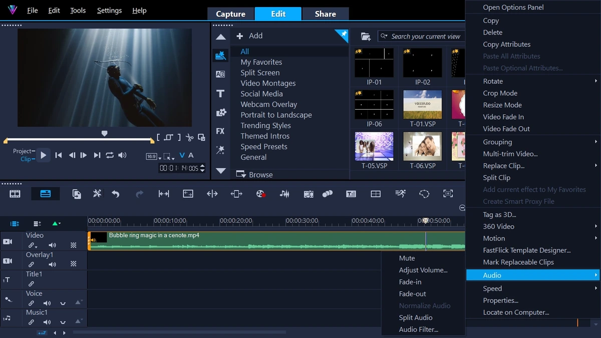 Corel VideoStudio Ultimate 2023 26.2.0.311 (x64) — изображение 2