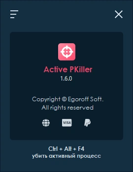 Active PKiller 1.6 + Portable — изображение 2