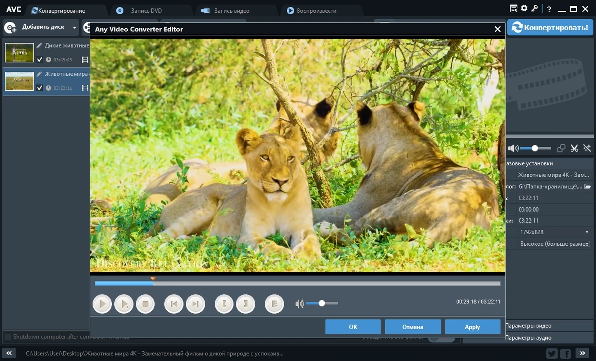 DVD риппер - Any Video Converter Ultimate 7.1.8 RePack by elchupacabra — изображение 2
