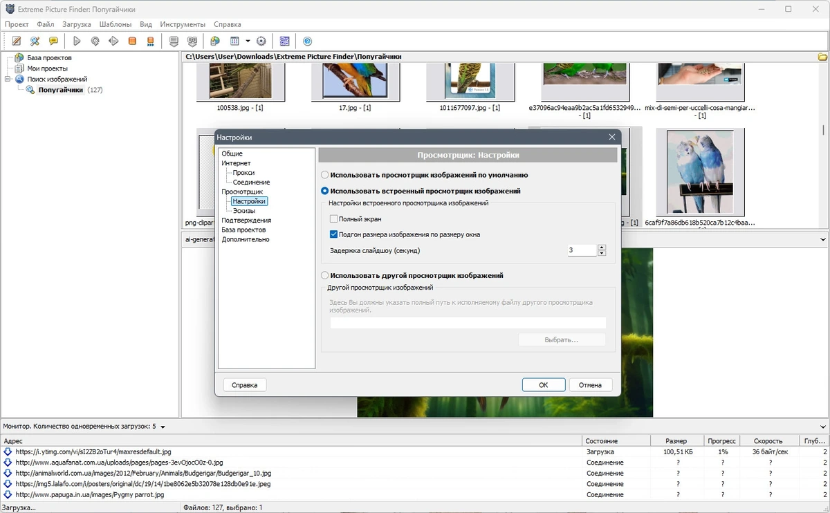 Extreme Picture Finder поисковик картинок 3.66.14.0 by elchupacabra — изображение 2