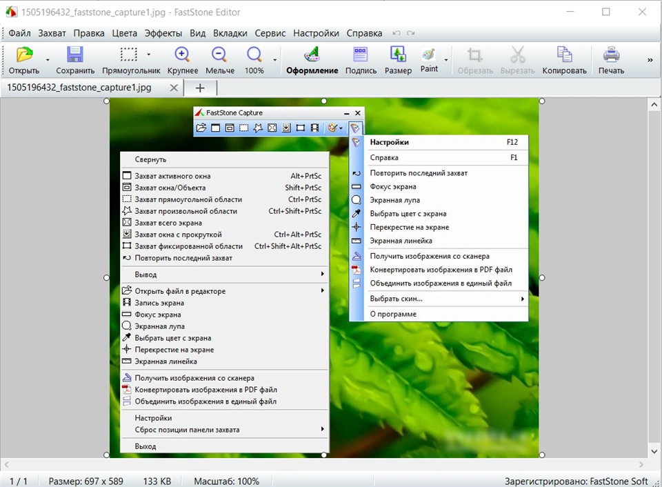 FastStone Capture 9.6 RePack & Portable by elchupacabra — изображение 2