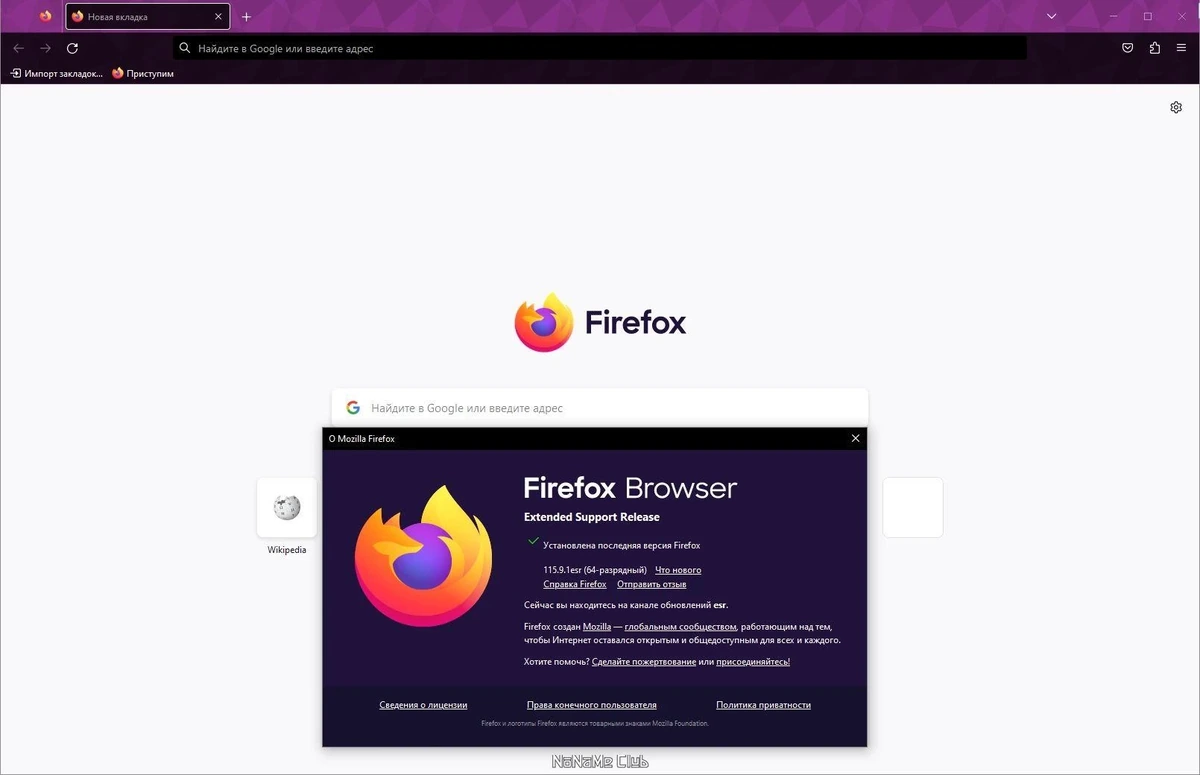 Firefox Browser ESR 115.9.1 — изображение 2