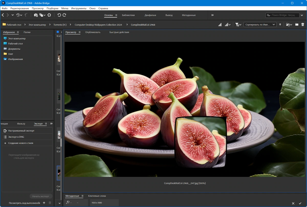 Adobe Bridge редактор RAW изображений 2026 16.0.5.19 by 7997 — изображение 2