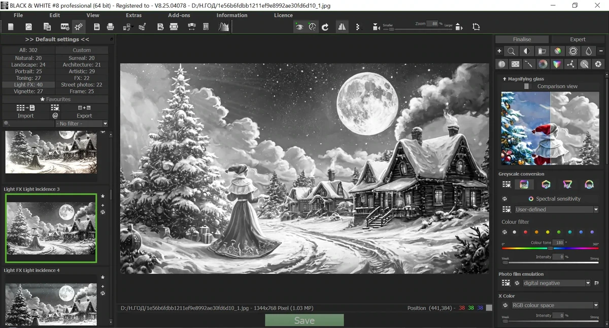 Фоторедактор Franzis BLACK & WHITE Pro 8.25.04078 Portable by Spirit Summer — изображение 2