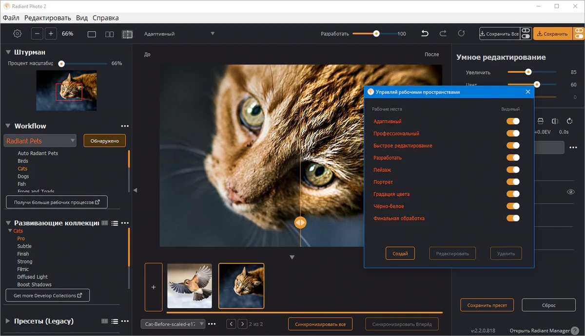 Фоторедактор Radiant Photo 2.2.0.818 + Addons Pack — изображение 2