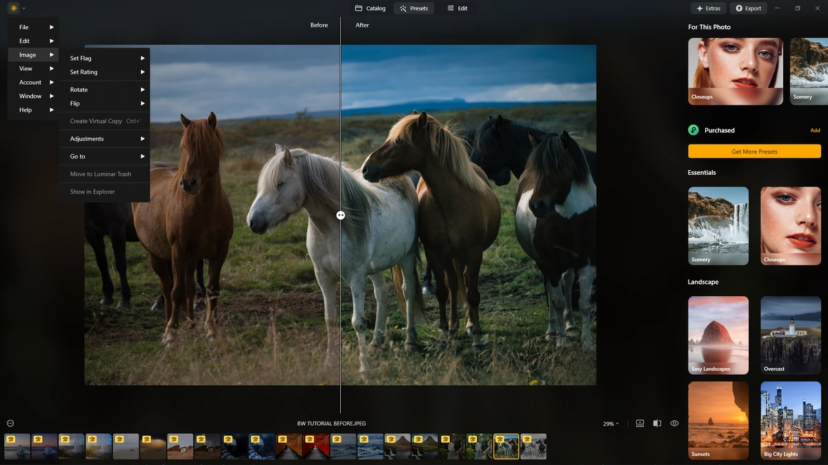 Фоторедактор с AI Luminar Neo 1.24.0.14794 by elchupacabra — изображение 2