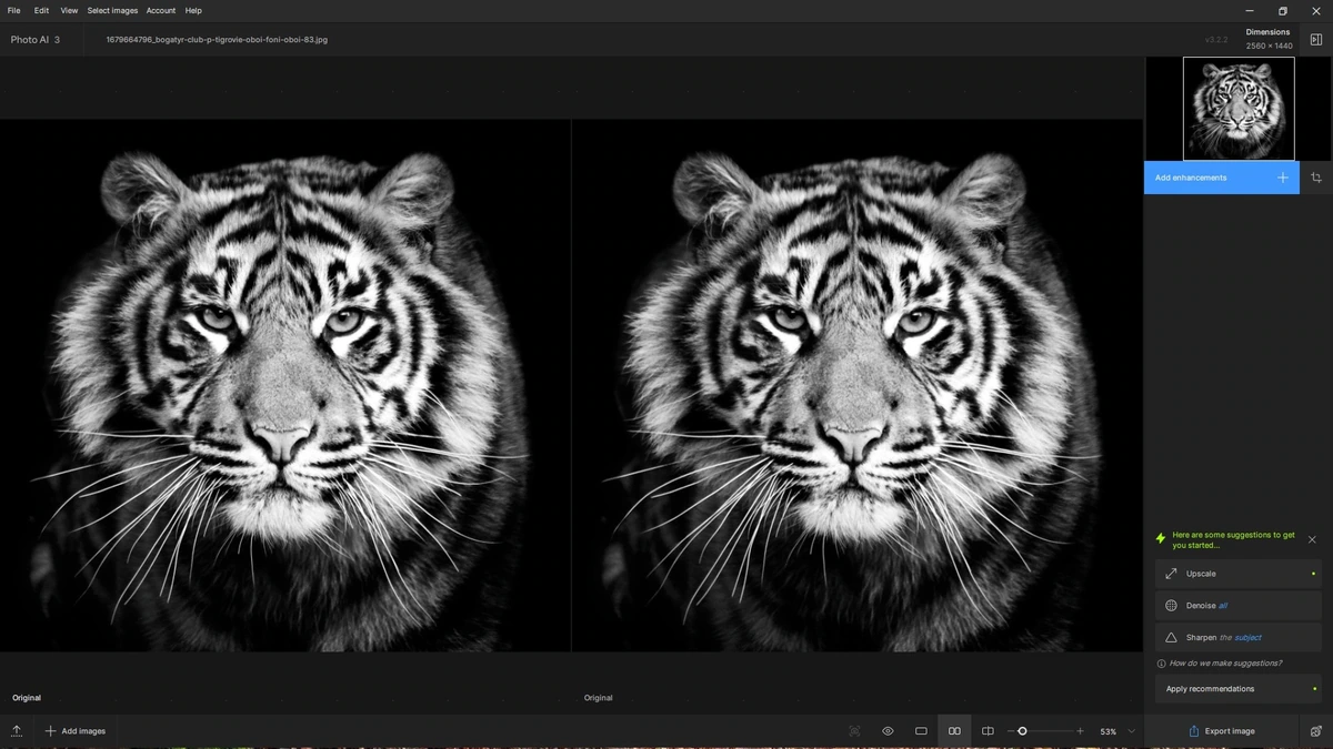 Фоторедактор Topaz Photo AI 3.2.2 RePack by KpoJIuK — изображение 2