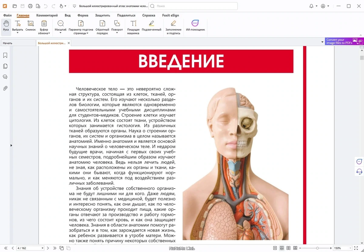 Foxit PDF Reader 2024.2.2.25170 — изображение 2