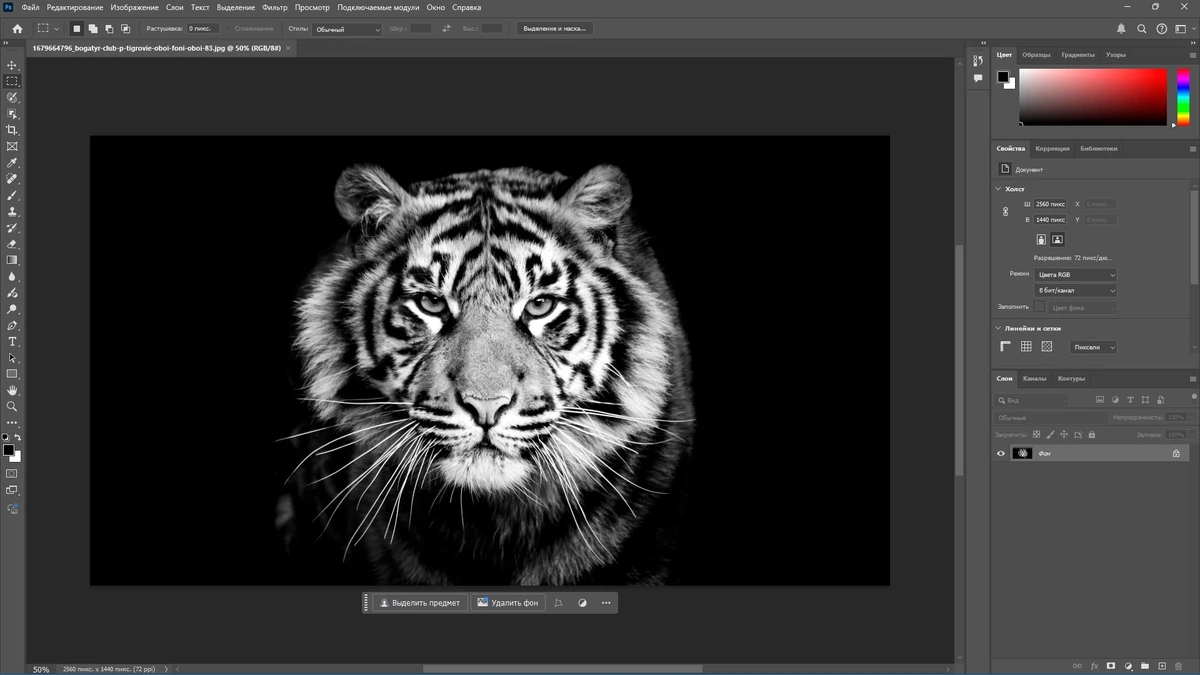 Графический редактор Adobe Photoshop 2025 26.0.0.26 RePack by KpoJIuK — изображение 2