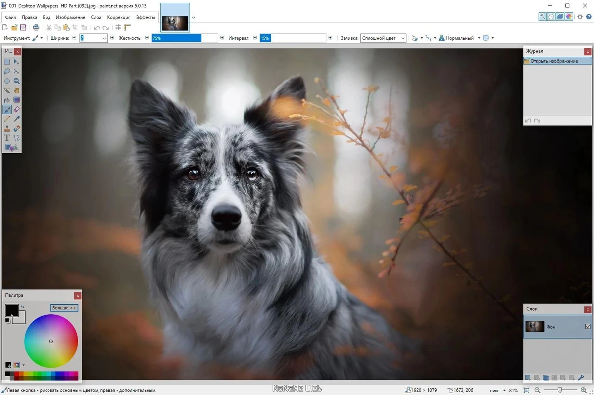 Графический редактор - Paint.NET 5.0.13 Final + Portable — изображение 2