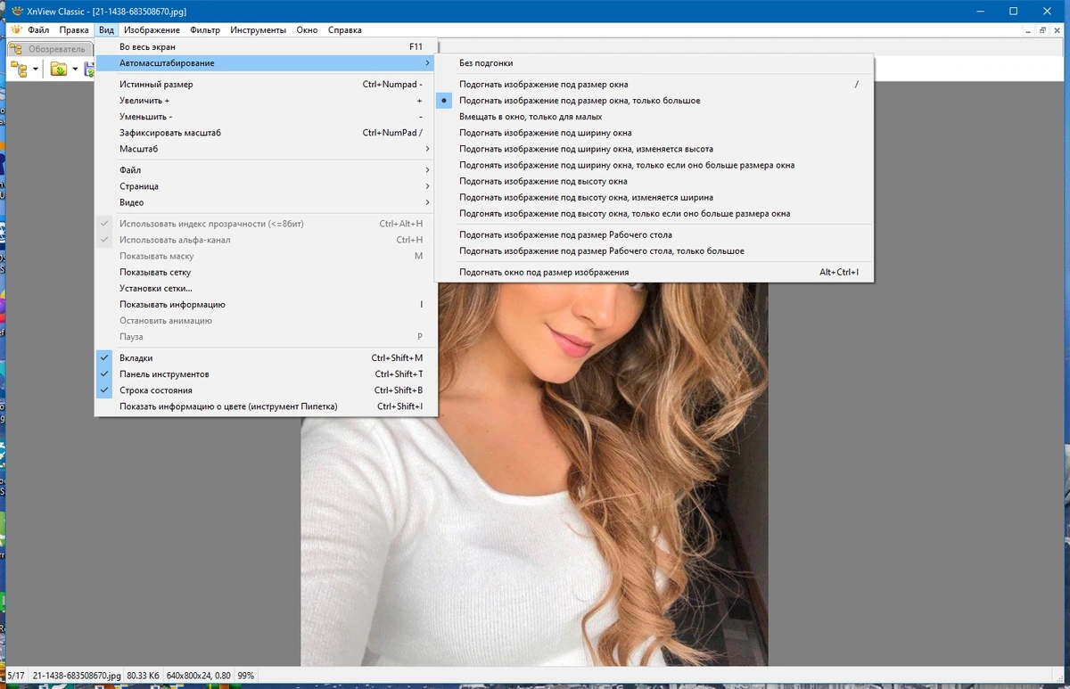 Графический редактор - XnView Classic 2.51.6 (Minimal-Standard-Extended) + Portable — изображение 2
