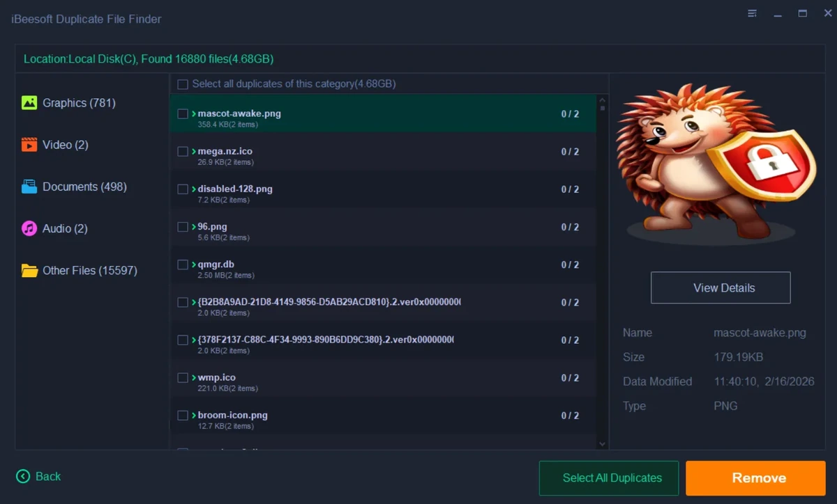 iBeesoft Duplicate File Finder 4.6.0 — изображение 2