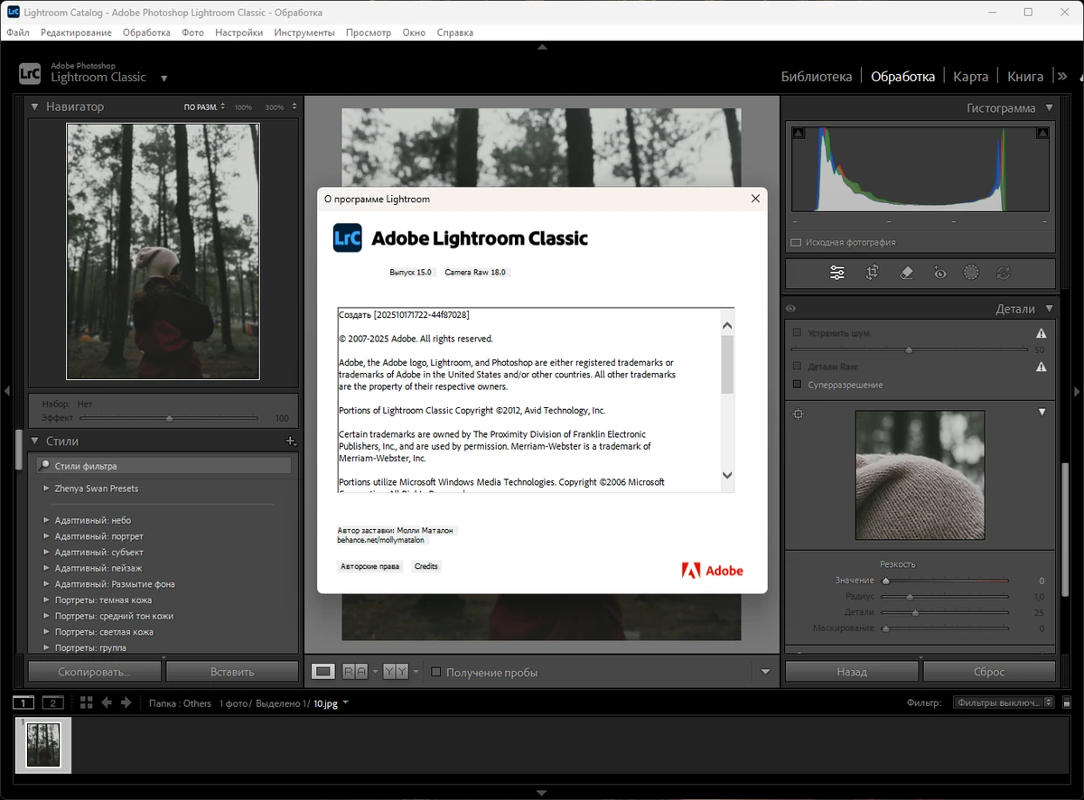 Adobe Photoshop Lightroom Classic 2026 15.0 — изображение 2