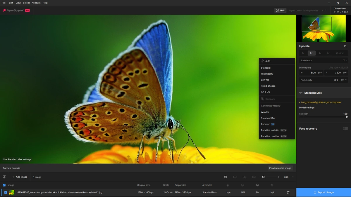 Изменение размеров фотоснимков Topaz Gigapixel 1.0.1 + models Portable by 7997 — изображение 2