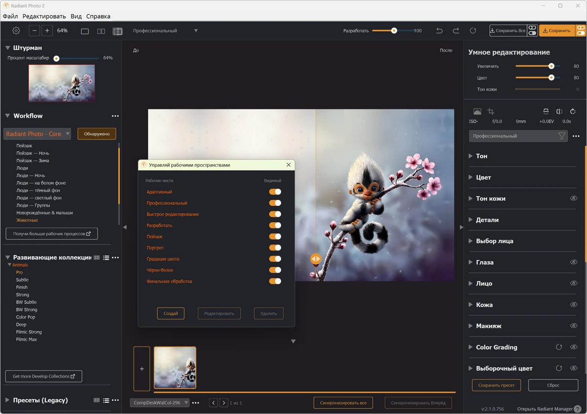 Эффекты для изменения фотографий Radiant Photo 2.1.0.756 — изображение 2