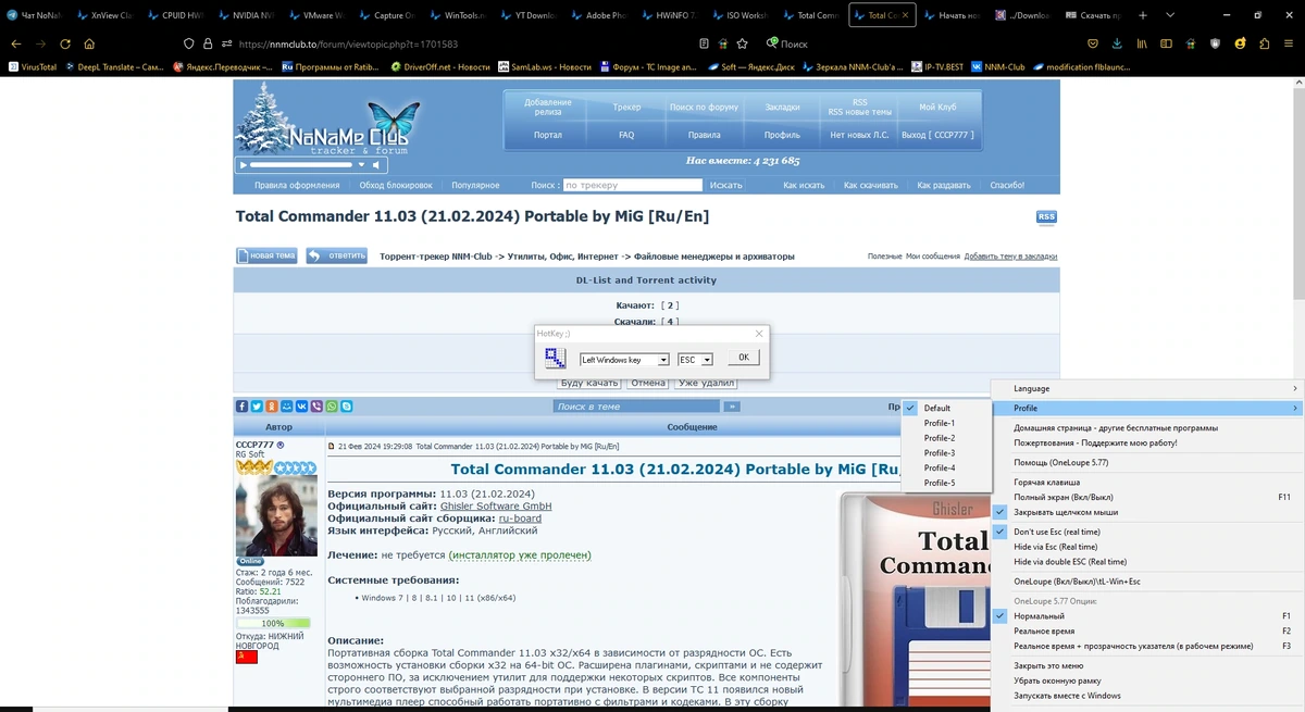 Экранная лупа OneLoupe 5.77 Portable — изображение 2