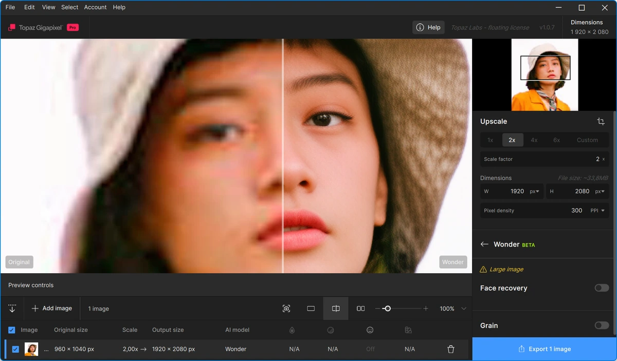 Качественное увеличение изображений Topaz Gigapixel 1.0.7 — изображение 2