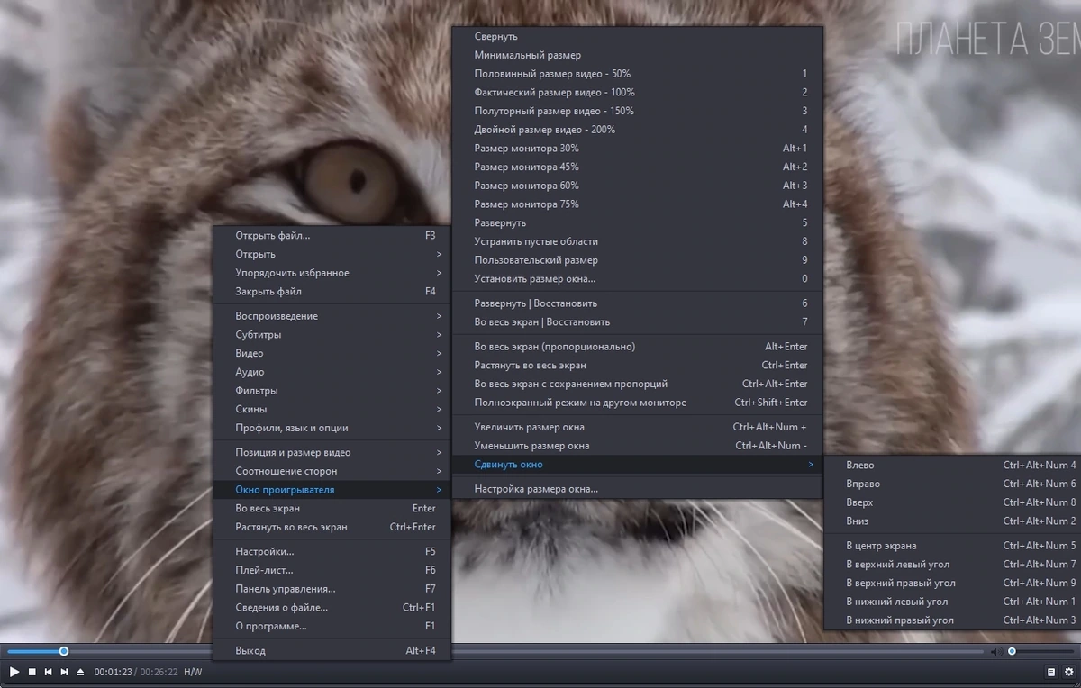 Качественное воспроизведение видео - PotPlayer 231113 (1.7.22038) Portable by 7997 — изображение 2
