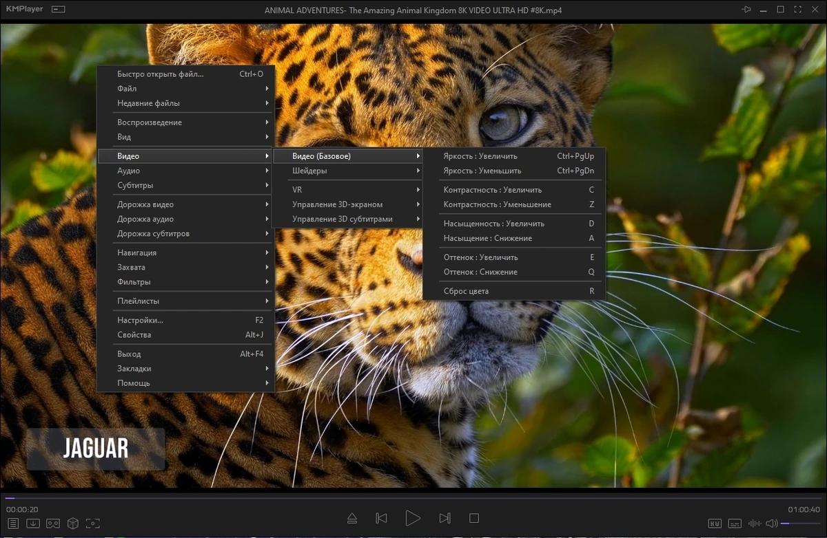 KMPlayer 2024.3.28.17 (x64) Portable by 7997 — изображение 2