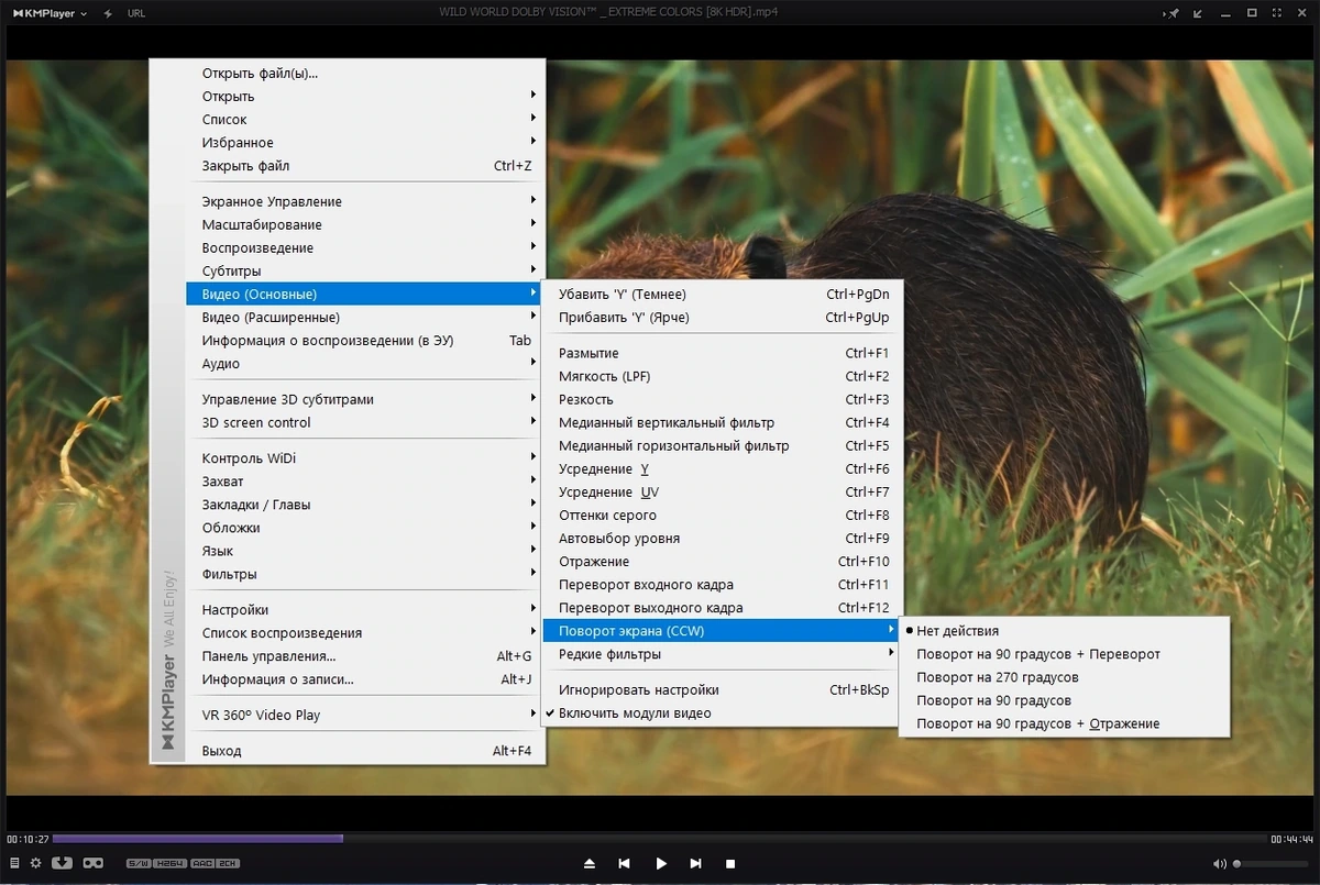 KMPlayer 4.2.3.13 Plus (x86) Portable by 7997 — изображение 2