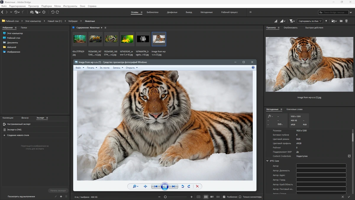 Комплексная обработка изображений Adobe Bridge 2025 15.1.2.737 by KpoJIuK — изображение 2