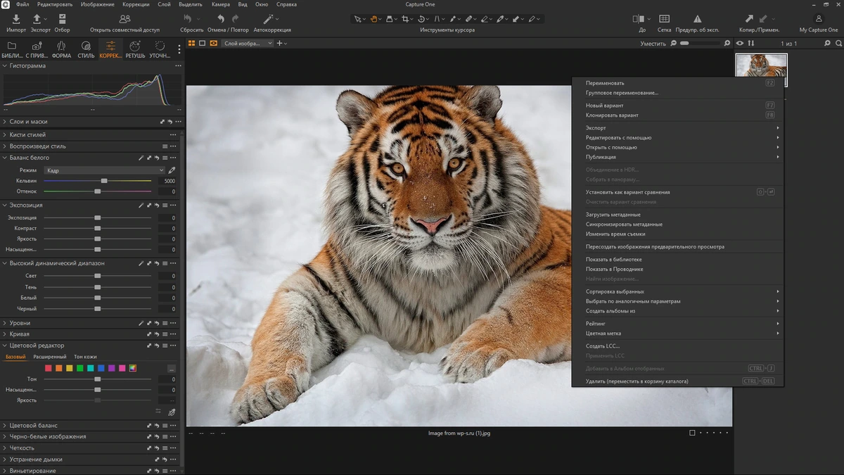 Корректор фото Capture One 23 Enterprise 16.6.4.3044 by KpoJIuK — изображение 2