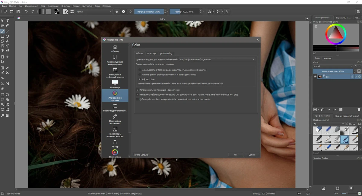 Krita 4.4.5 + Portable — изображение 2