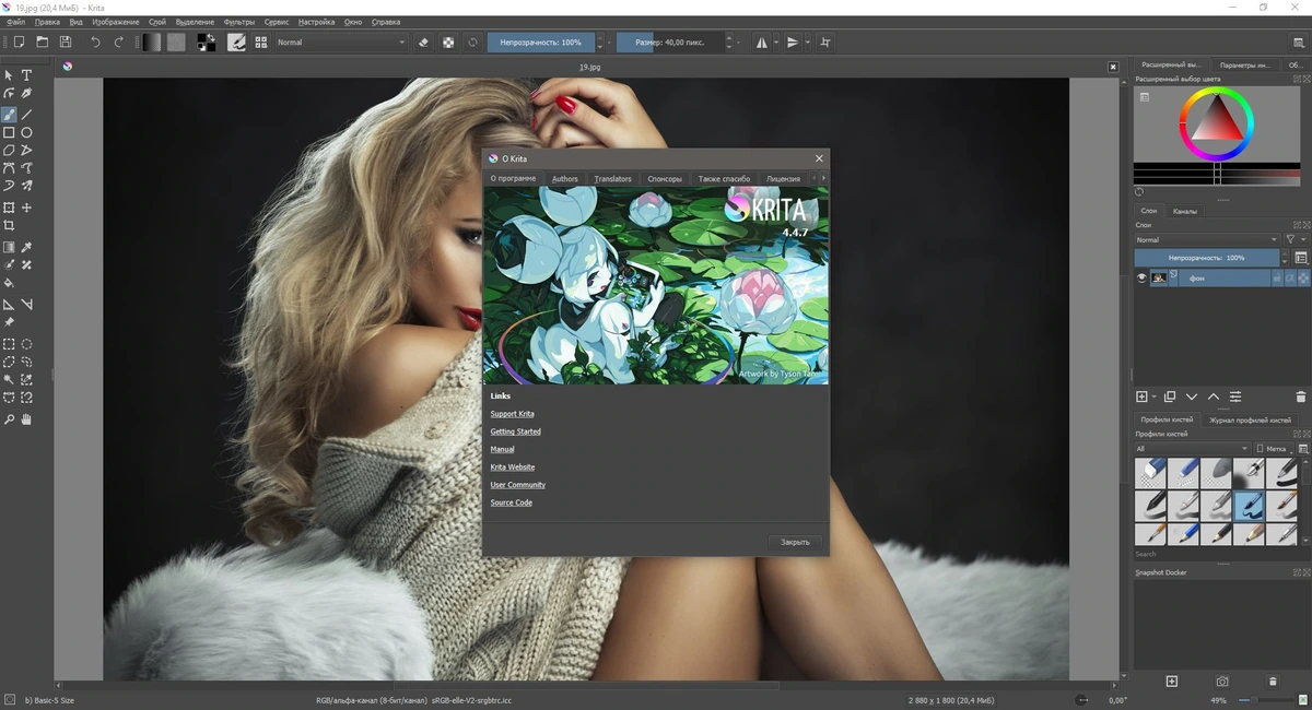 Krita 4.4.7 + Portable — изображение 2