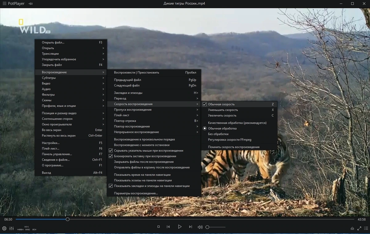Легкий и "всеядный" плеер для Windows - PotPlayer 231113 (1.7.22038) Stable RePack by KpoJIuK — изображение 2