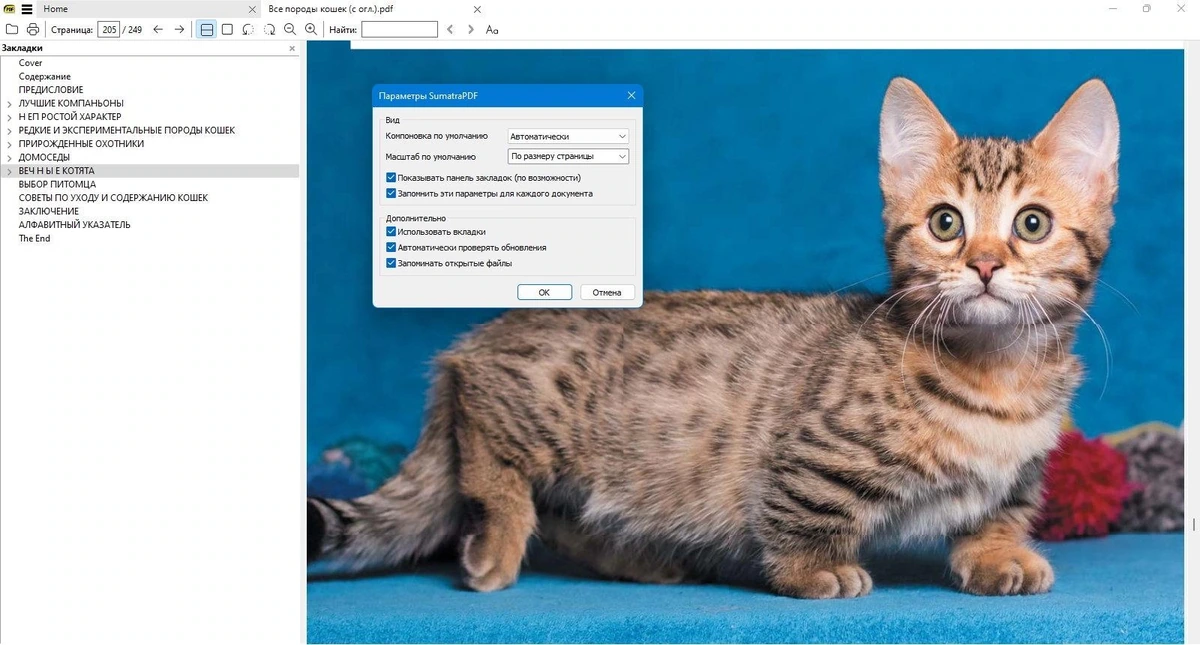 Легкий просмотрщик PDF - Sumatra PDF 3.6.15974 Prerelease + Portable — изображение 2