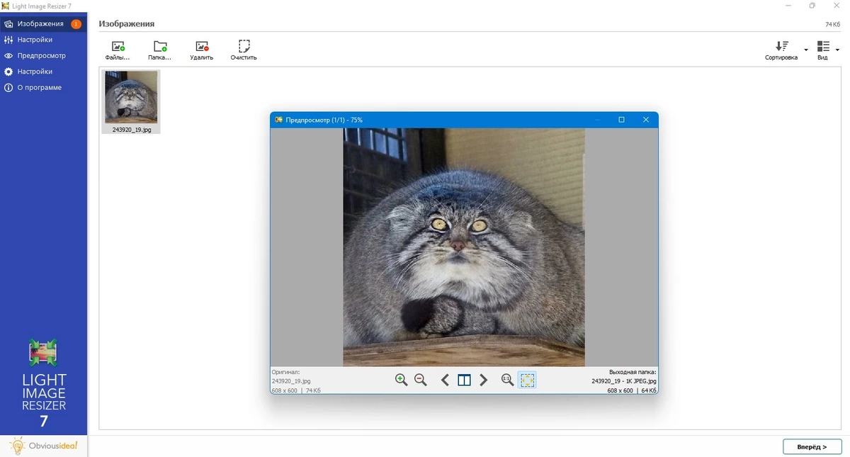 Сжатие изображений Light Image Resizer 7.2.0.82 — изображение 2