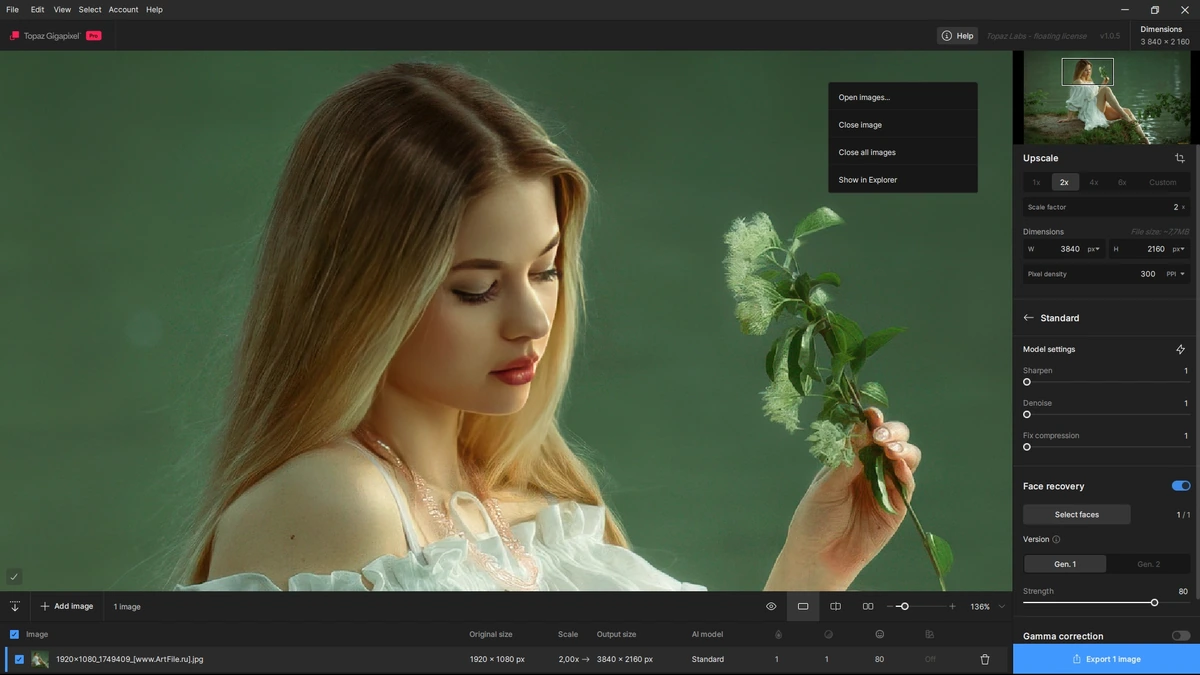Масштабирование фотографий Topaz Gigapixel 1.0.5 + models by 7997 — изображение 2