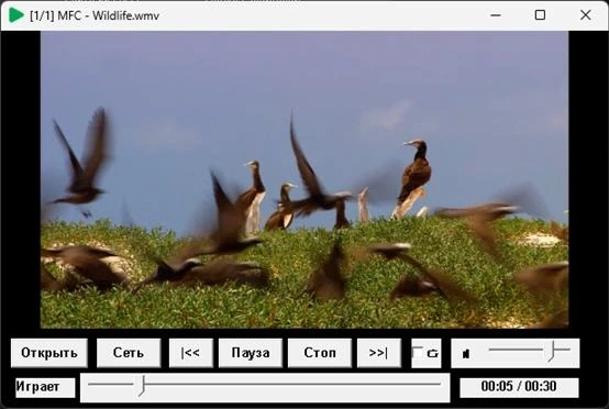 Media Foundation Client Portable 1.2.0 — изображение 2