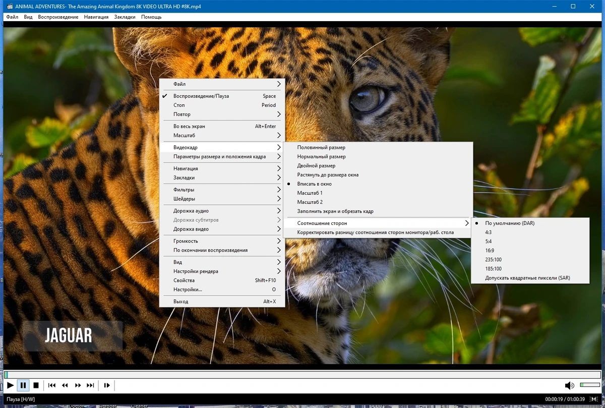 Media Player Classic Home Cinema 2.2.0 Полная + Портативная версии by KpoJIuK — изображение 2