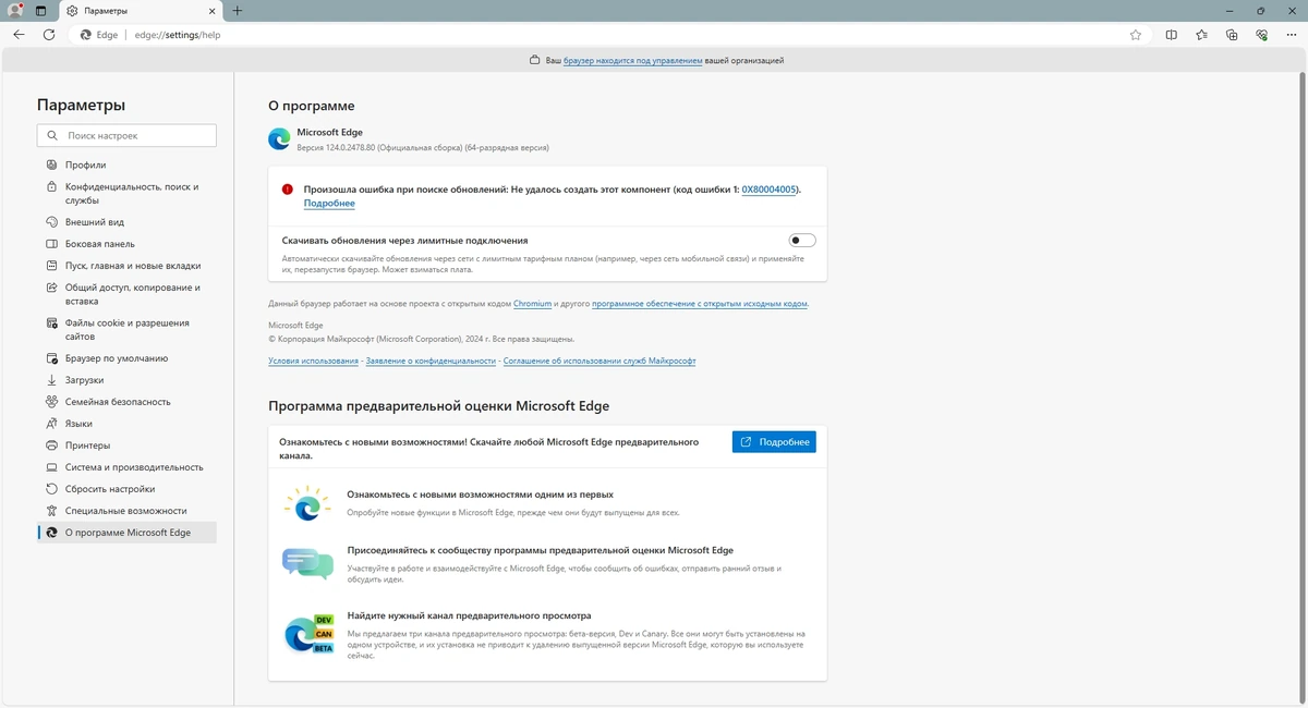 Microsoft Edge 124.0.2478.80 Portable by Cento8 — изображение 2
